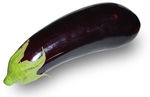 Aubergine