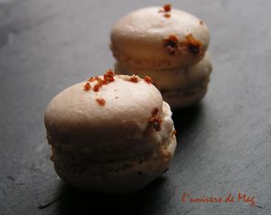 novembre_2008___macarons_au_pain_d__pice_et___la_figue__5_