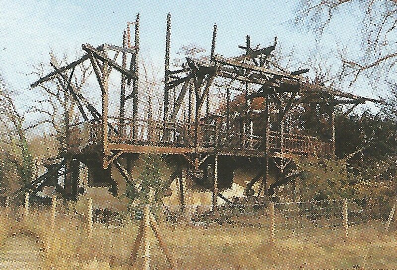 congo burn