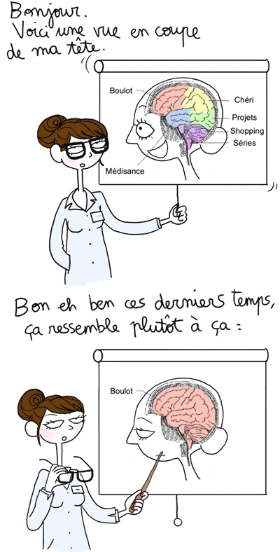 cerveau1