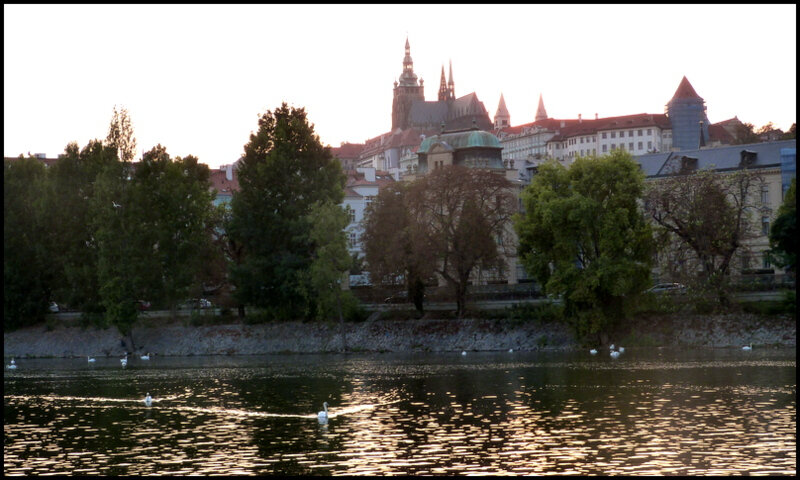 P1650485
