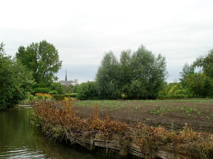 14 Les Hortillonages d'Amiens