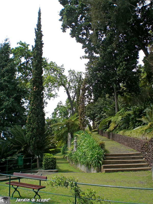 Au jardin Tropical de Funchal - Madère