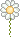 flower6