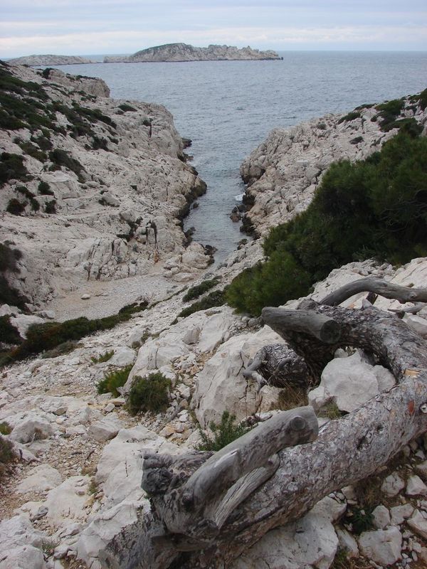 DSC03113_calanque_de_la_Mounine__R_solution_de_l__cran_