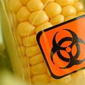 Oui, les <b>OGM</b> sont des poisons . . .