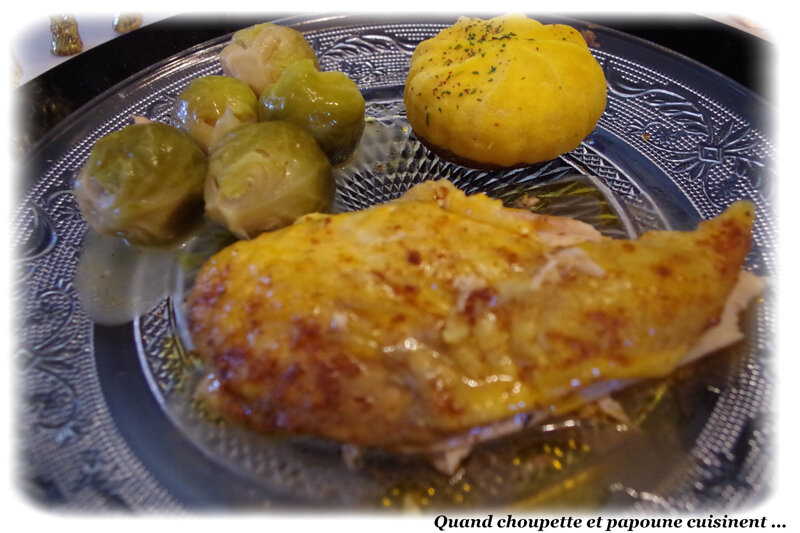 chapon de pintade-1565