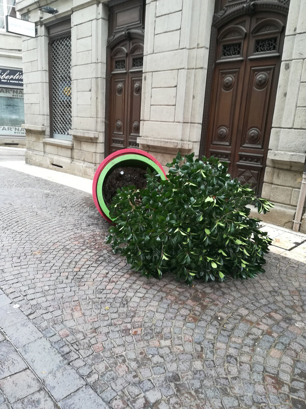 vandalisme, 1er nov 2018, rue de la Rép (1)