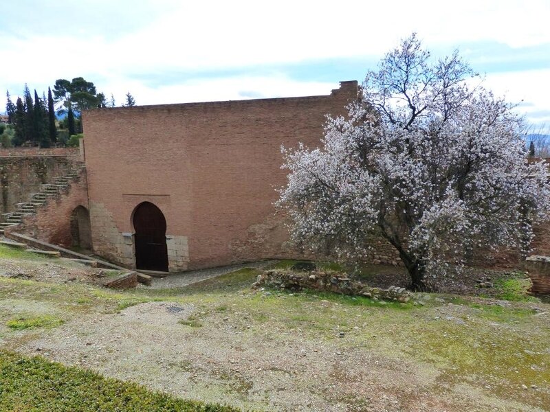 P1190552