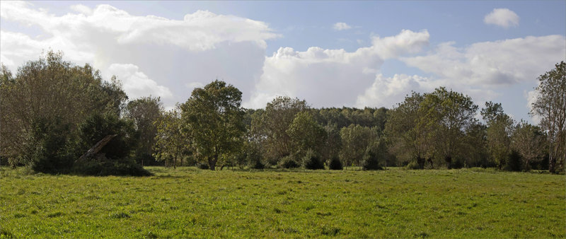 Marais Poitevin paysage pano 051021