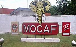 Mocaf