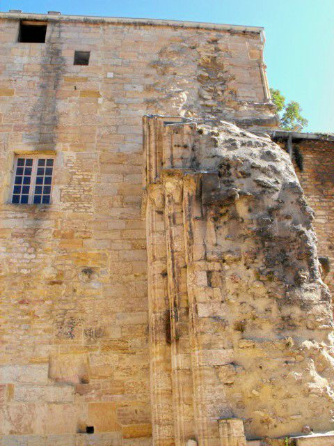 DSCF0195