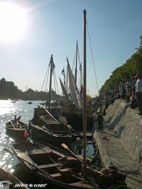Festival de Loire 2009 à Orléans