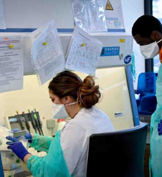 pas d'épidémie en france