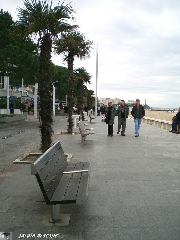 Bancs de la promenade en front de mer à Arcachon