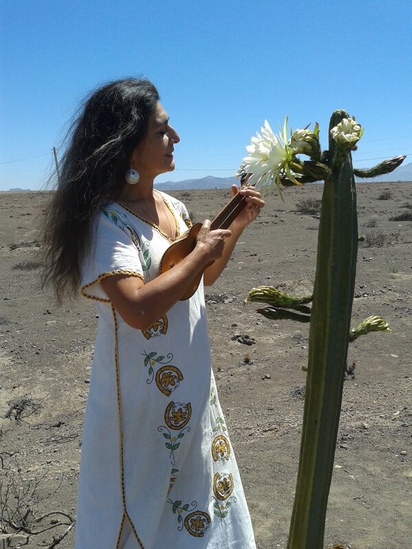 Jacqueline Castro Ravelo, nació en Santiago, hija de Madre Artesana Antofagastina, Elisa Ravelo Palacio y Padre Ingeniero, Nahum Castro Henríquez, quien fue director de los Ferrocarriles del Estado de Chile en época de la Unidad Popular. Su infancia la vi