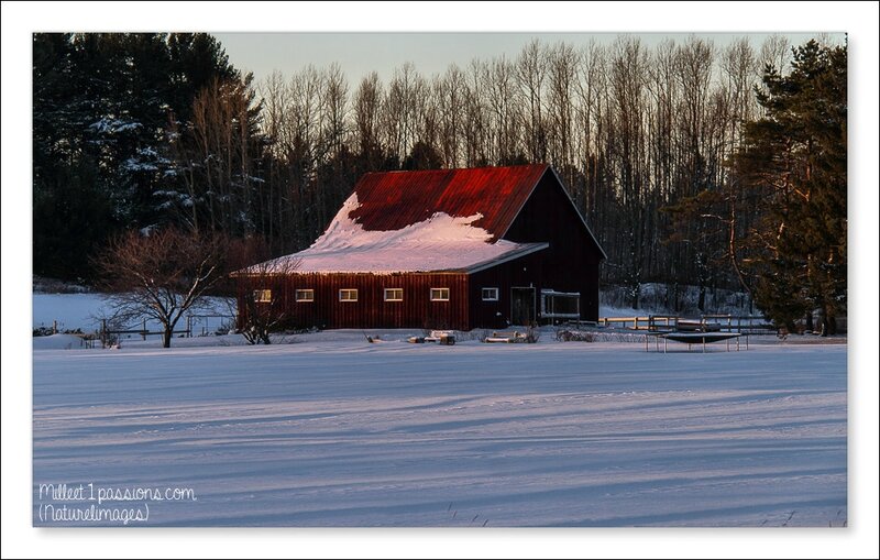 IMG_2656-1
