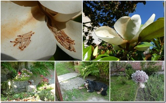 jardin 24 juin 20237