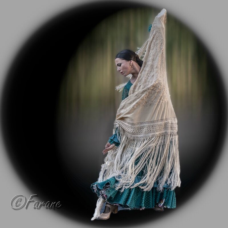 Flamenco Carmen Gonzalez