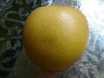 pamplemousse_1