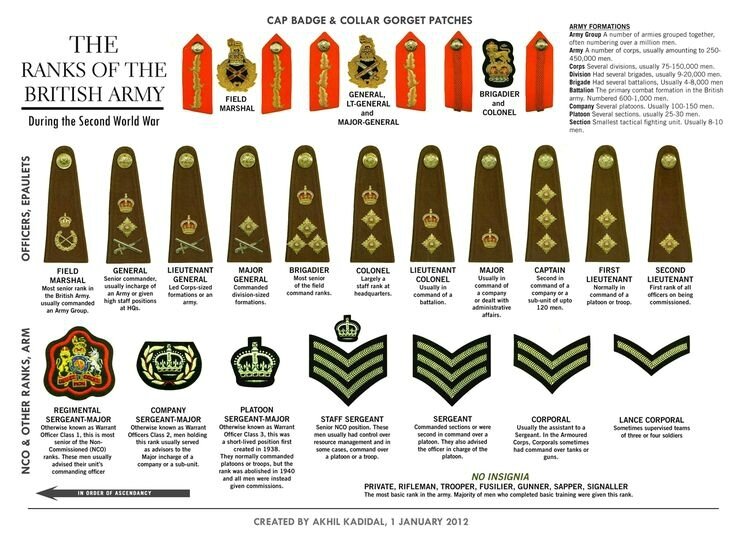 3a7e2189f16bea381433d35a47fecf3b--army-ranks-military-ranks