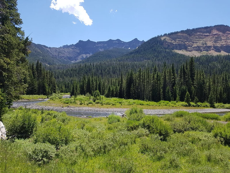 0208yellowstone2