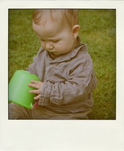 IMG_1682_pola01