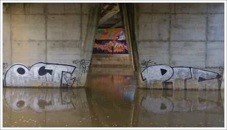 pont_graffiti_reflets_passant_QM_061208
