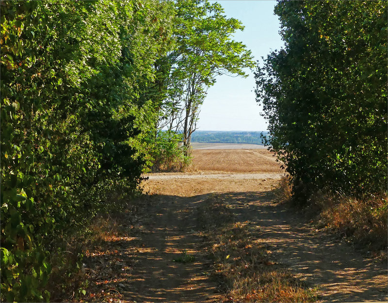Plaine sécheresse marais 070822