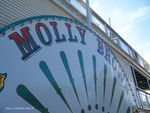 molly_brown