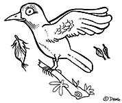 coloriages-oiseau-alouette-enfants