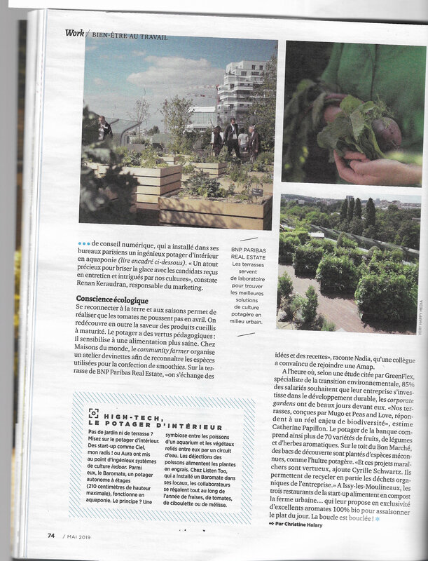 magazine management jardin part 2