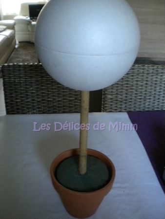 DSCN4734bis