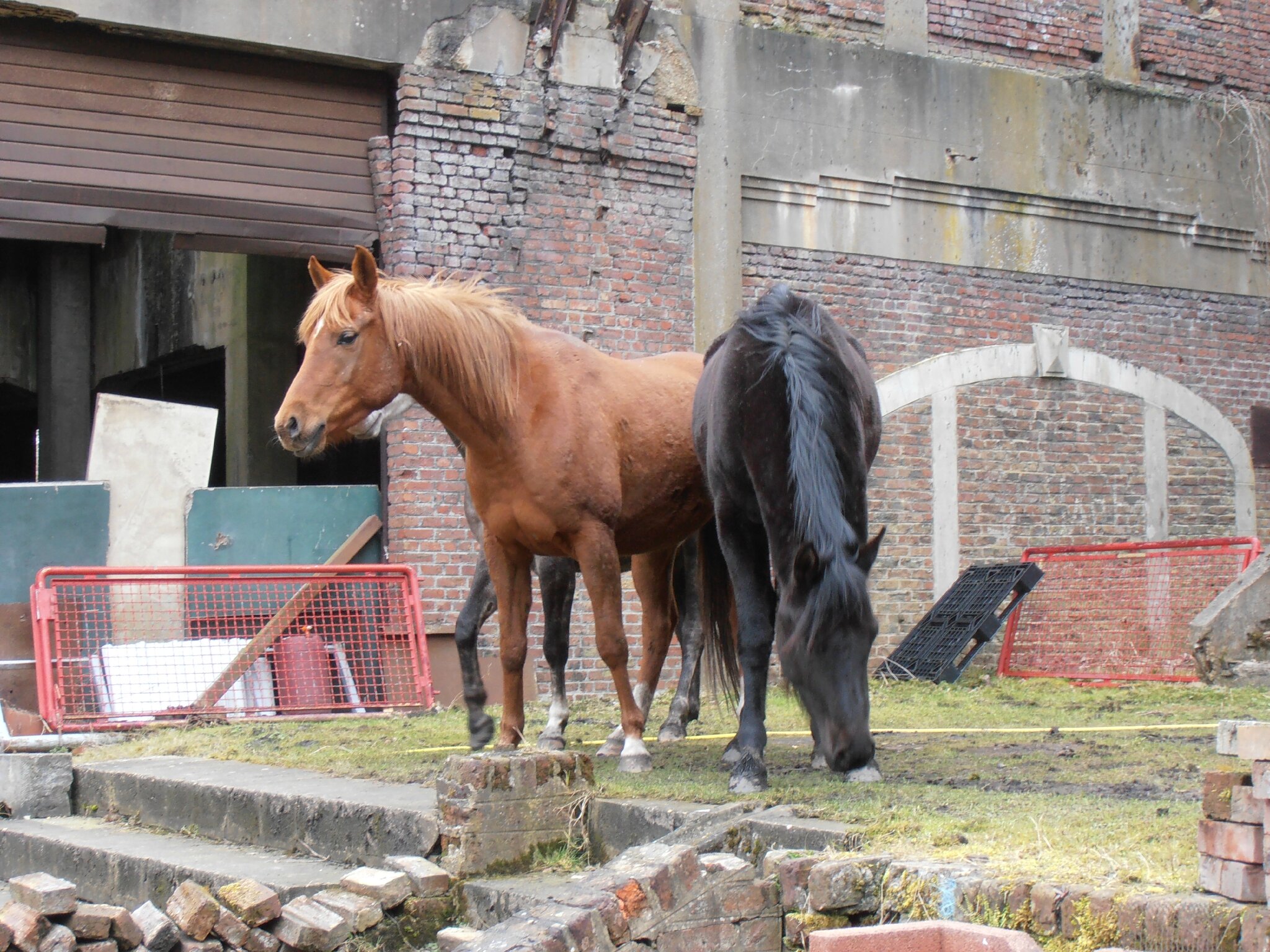 Marcasse - 20130325_09