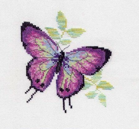 Papillon3