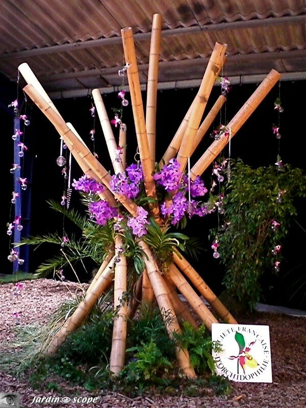Orchiflore 2008 - Hall des expositions Parc floral de la Source à Orléans