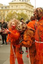 Zombie Walk Paris 2014 (25)