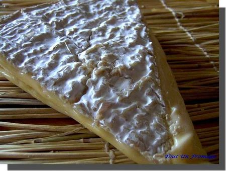 Brie de Meaux