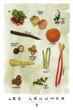 compo-legumes-Aribert-copyright-RenoMarca