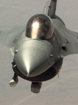 F16nez