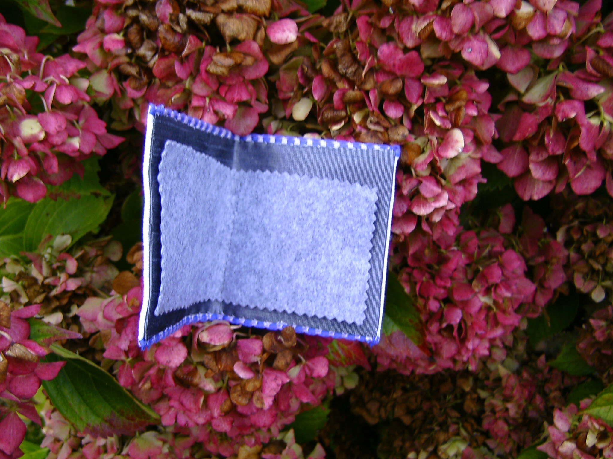 intérieur pochette aiguille