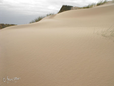 dunes_ecault04