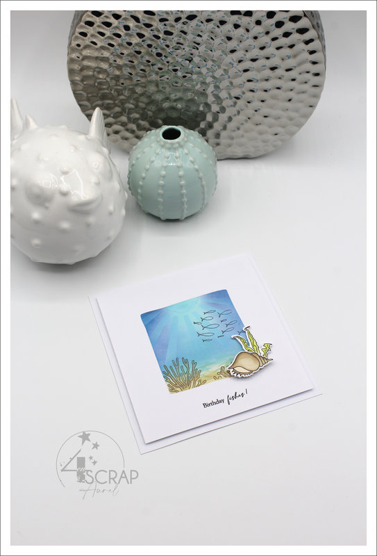 120522 - Cartes Fonds marins - AP E22 - J3 #5