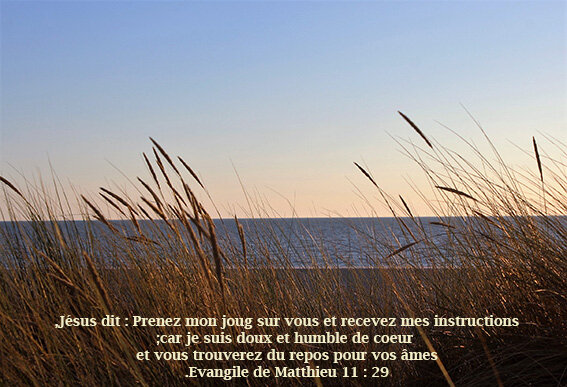 verset_biblique_mer
