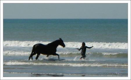 homme_cheval_mer