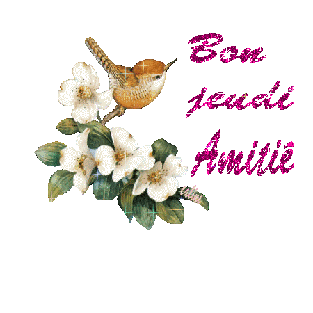 Bon_jeudi_amiti__oiseau_lettre_fushia_1
