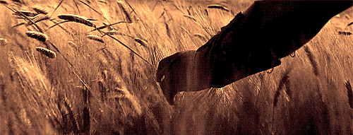 tumblr_mmqk9rdz0c1s3cv90o1_500