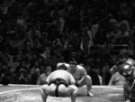 tokyo_sumo_5