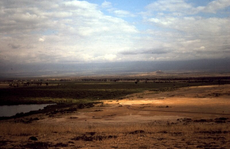 amboseli paysage k