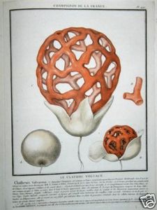 Buliard